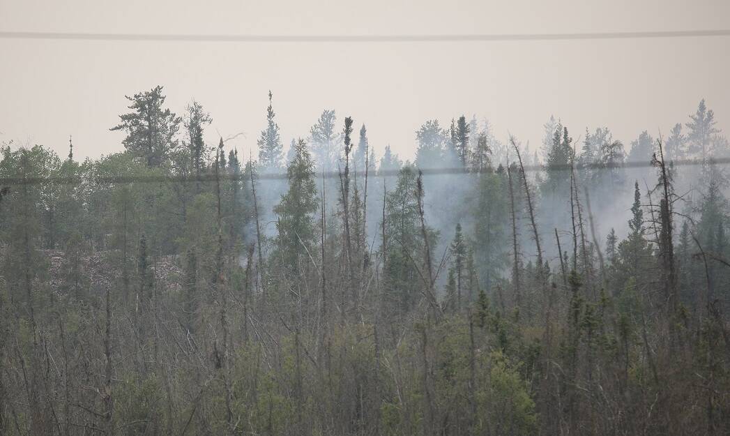 Smoke from the Behchoko wildfire can be seen in the trees along Highway 3 late last month. The territory聮s chief environmental health officer as issued an air quality advisory for virtually every region in the NWT because of wildfire smoke. Kaicheng Xin/NNSL photo