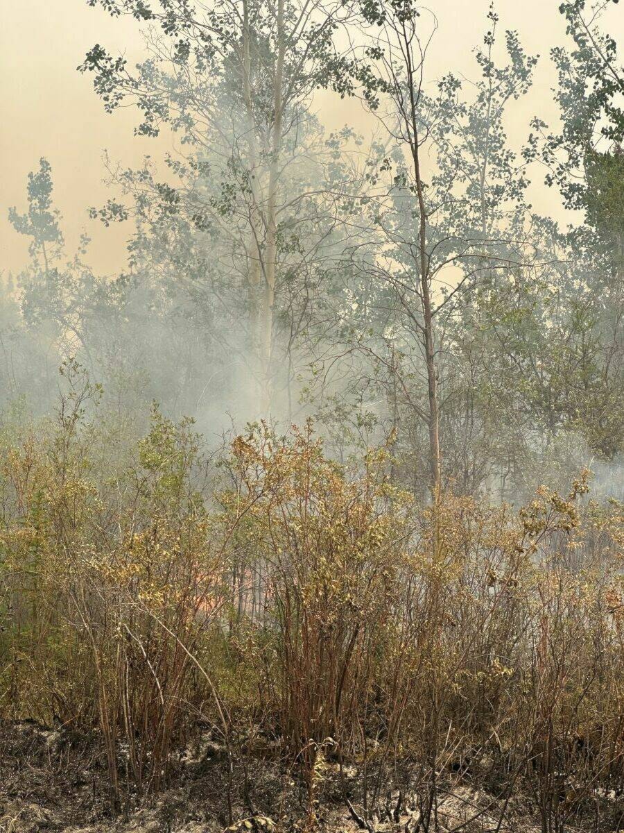 33487881_web1_230804-YEL-Yellowknife-Wildfire-fire_1