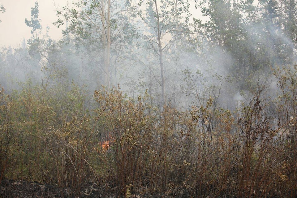 33513798_web1_230804-YEL-Wildfire-Update-Fire_1