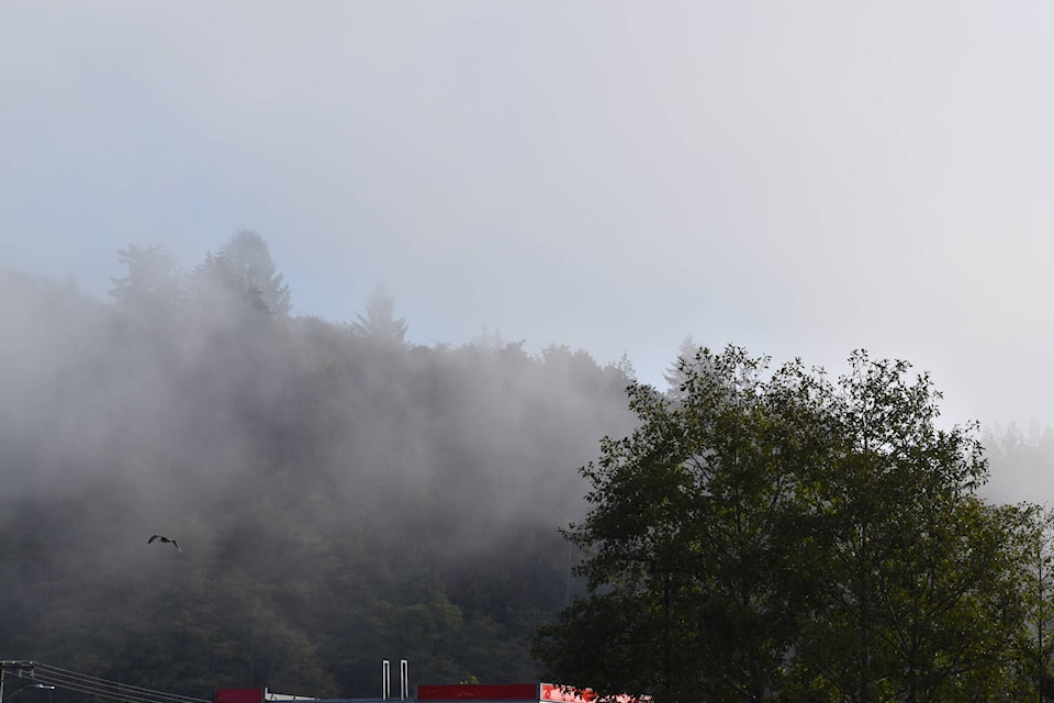 34003438_web1_230923-ADW-FallForecast-FoggyFallPhotoSept212023_1