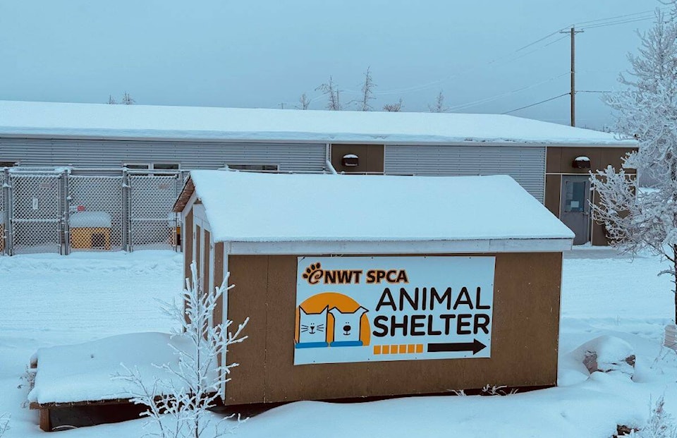 34794135_web1_231208-YEL-SPCAProblems-Photos_1