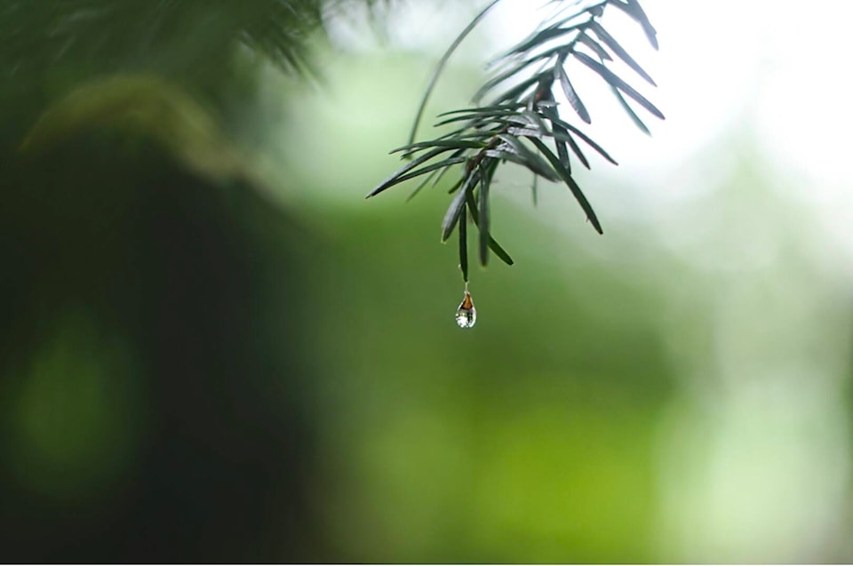34852033_web1_231207-TDT-weather-drop_1