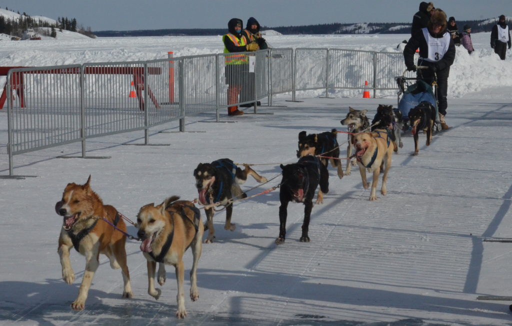 Grant Beck and his team come through the Dettah ice road course crossing for the first time during the third and final stage of the Canadian Championship Dog Derby's 10-dog main event on Sunday. Beck was the winner of the race and claimed the $10,000 first prize. James McCarthy/NNSL photo 