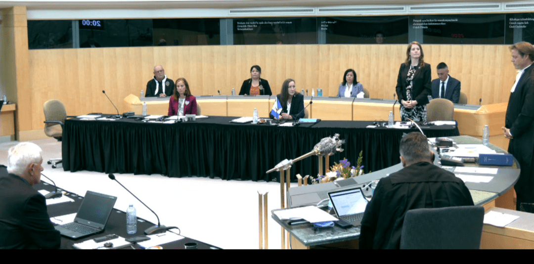 Katrina Nokleby stands the record the sole vote against the motion to remove her from the executive council, in the Legislative Assembly on Wednesday. GNWT image