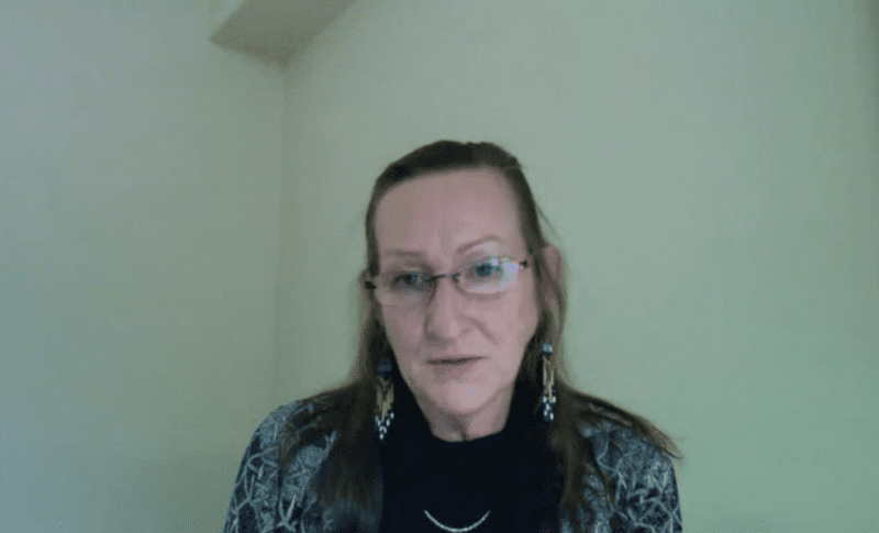 Three senior officials took trips outside of the NWT during the holiday period, Premier Caroline Cochrane said on Tuesday, without identifying the individuals. GNWT image