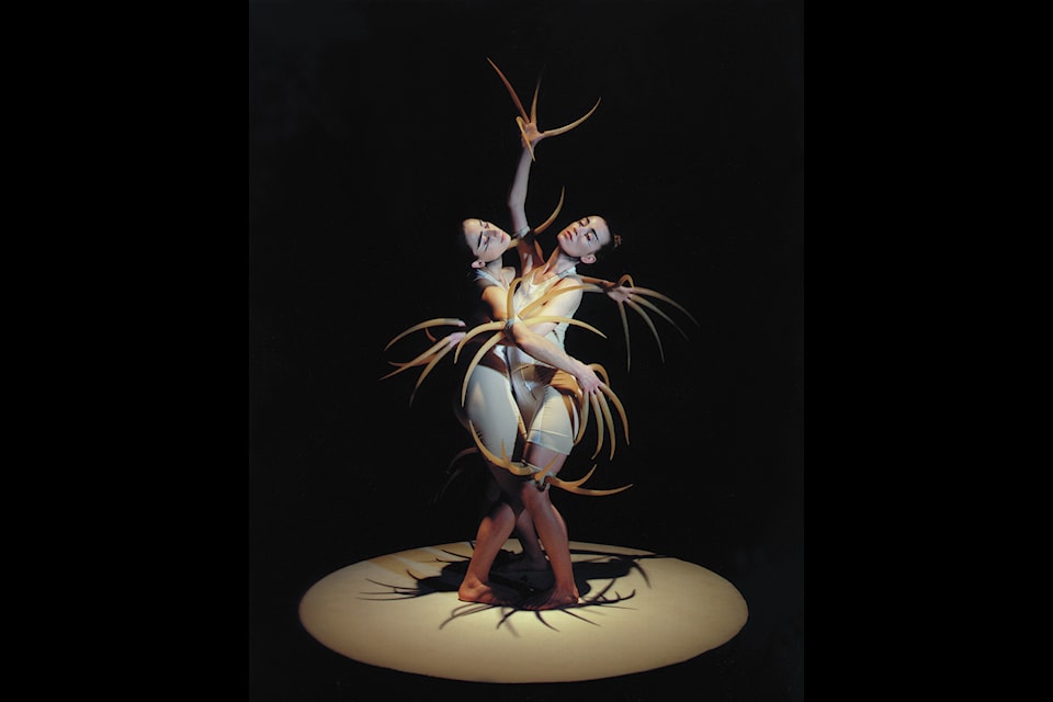 Prelude to the Afternoon of a Faun & the Rite of Spring will be performed Feb. 8 at NACC by the renowned Quebec Compagnie Marie Chouinard. Photo courtesy of NACC