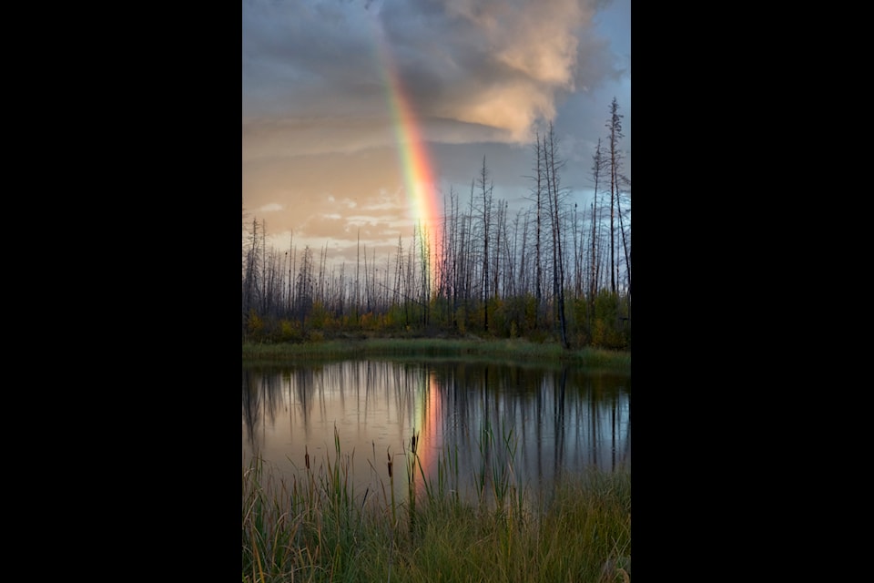 The ways we move are deeply tied to history, identity, and relationships with people and with the land, writes columnist Thorsten Gohl. Photo courtesy of Thorsten Gohl