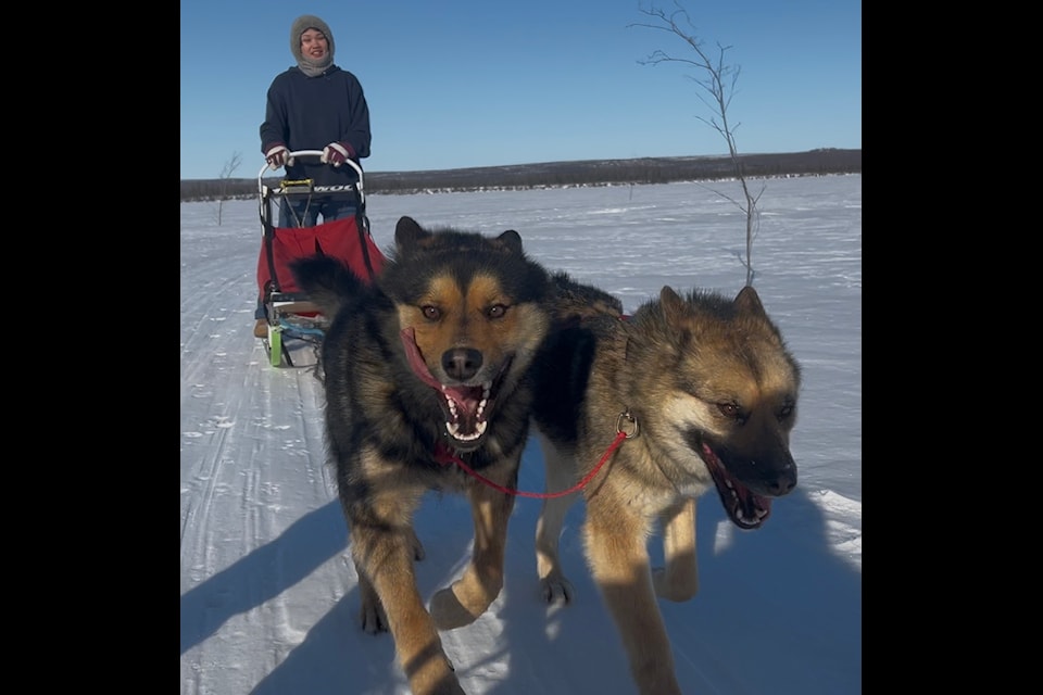Tamara Kaglik takes off on her dogsled. A project she's a co-founder of just received $100,000 from the Arctic Inspiration Prize to establish a youth culture camp.