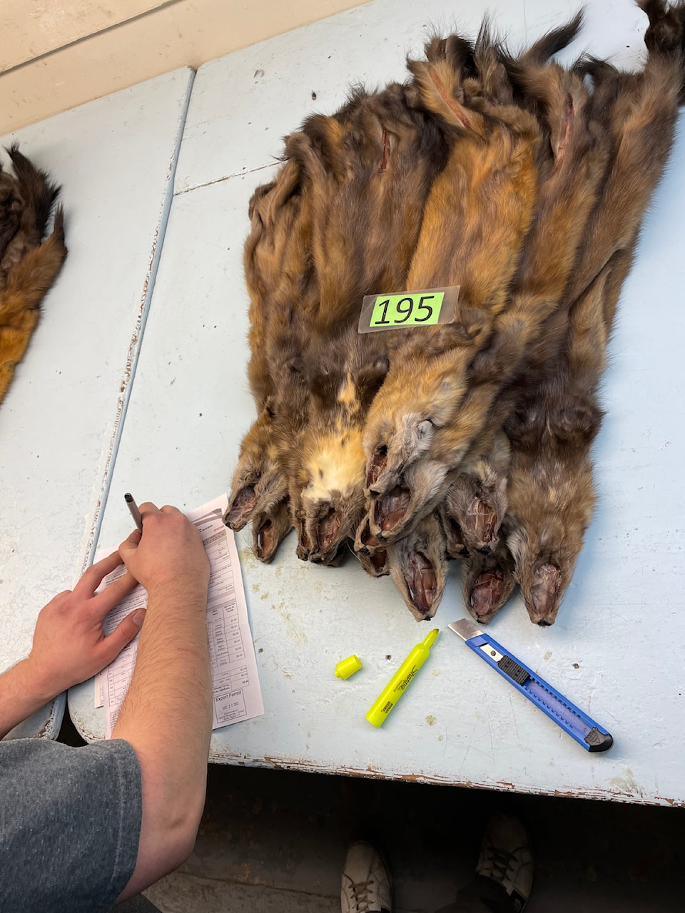 nwt-and-nunavut-furs-resized