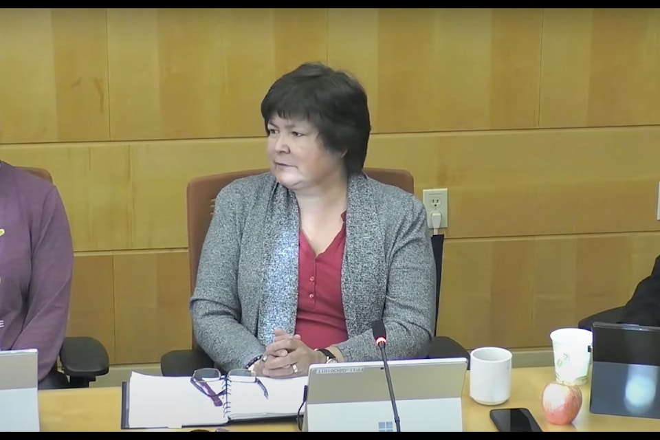 Dehcho MLA Sheryl Yakeleya wondered why repairs on the Deh Cho Bridge were taking so long, saying it's an important piece of infrastructure for the territory. Screenshot courtesy of legislative assembly