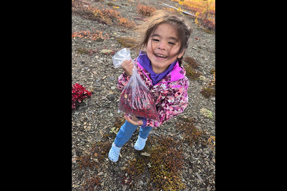 Our Youth of the Week is Jesy Greenland, who at age three is enthusiastically gathering cranberries with her family near James Creek. Her mother said Jesy cleans the berries herself and bakes cupcakes for Elders.