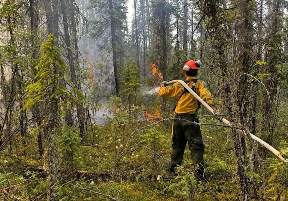 firefighter-wildland