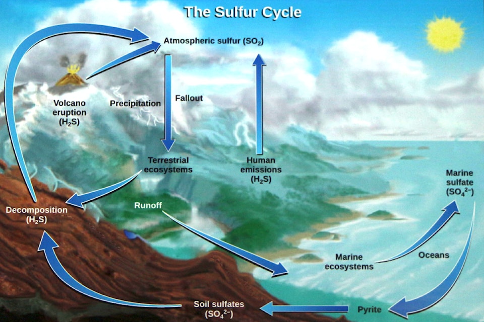 A chart showing how sulphur moves through the environment.