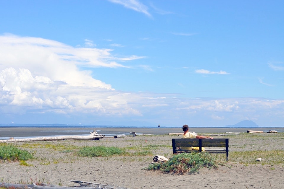 240621-ndr-m-metro-vancouver-boundary-bay-regional-park-edit