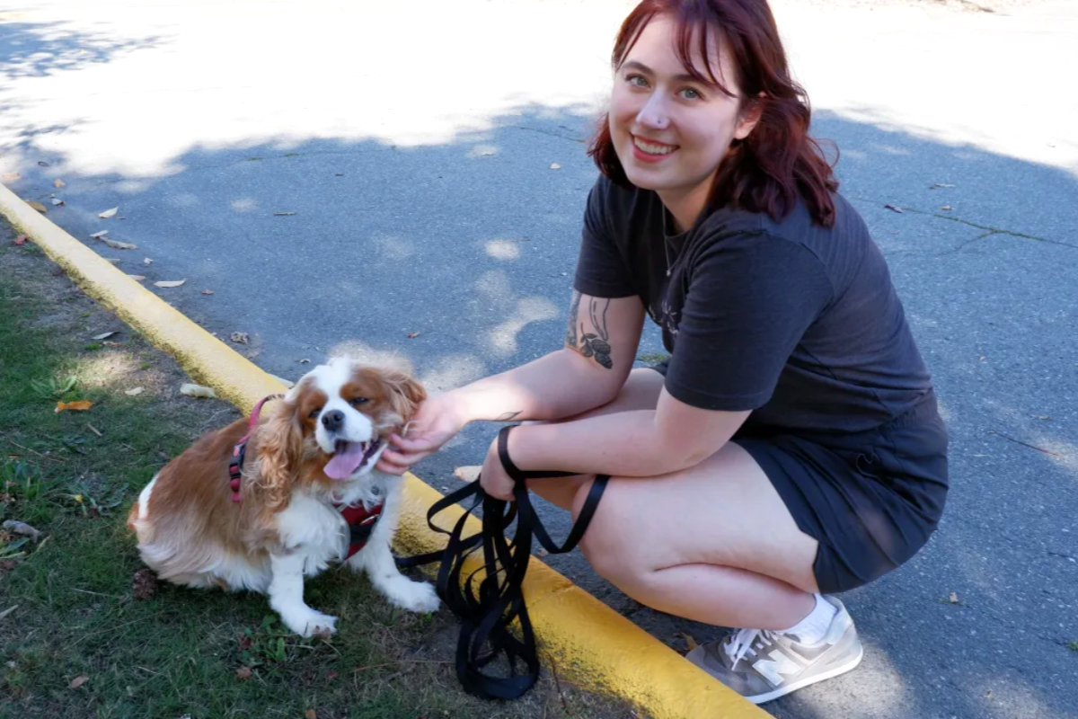 Dog trainer Delta's only with BC SPCA accreditation