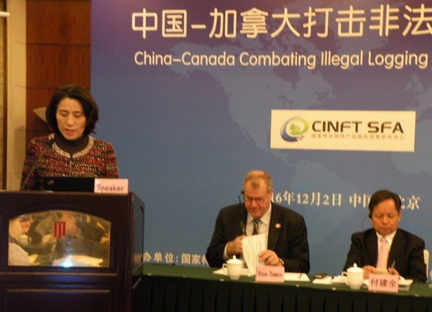 China moves to stop illegal logging trade