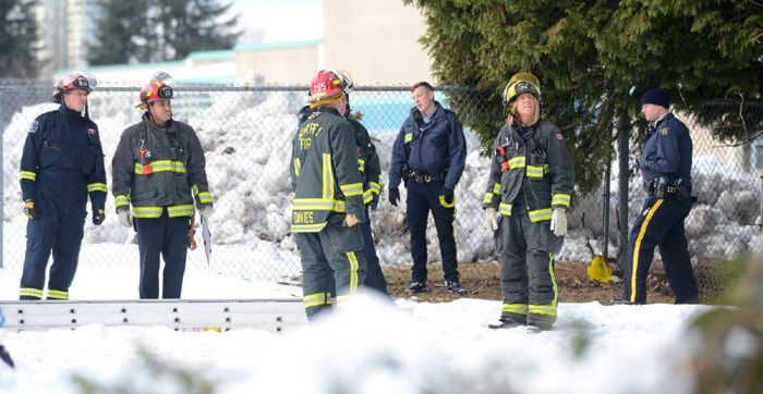 70580surreyw-treegroup