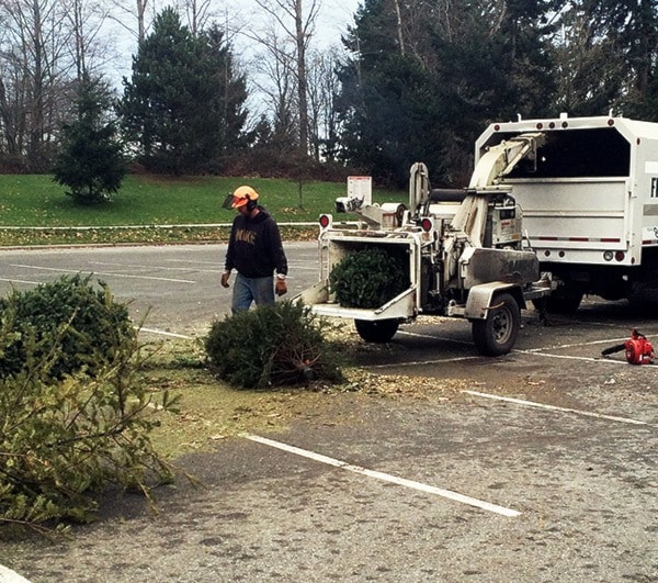 80179northdeltareporterTreechipping