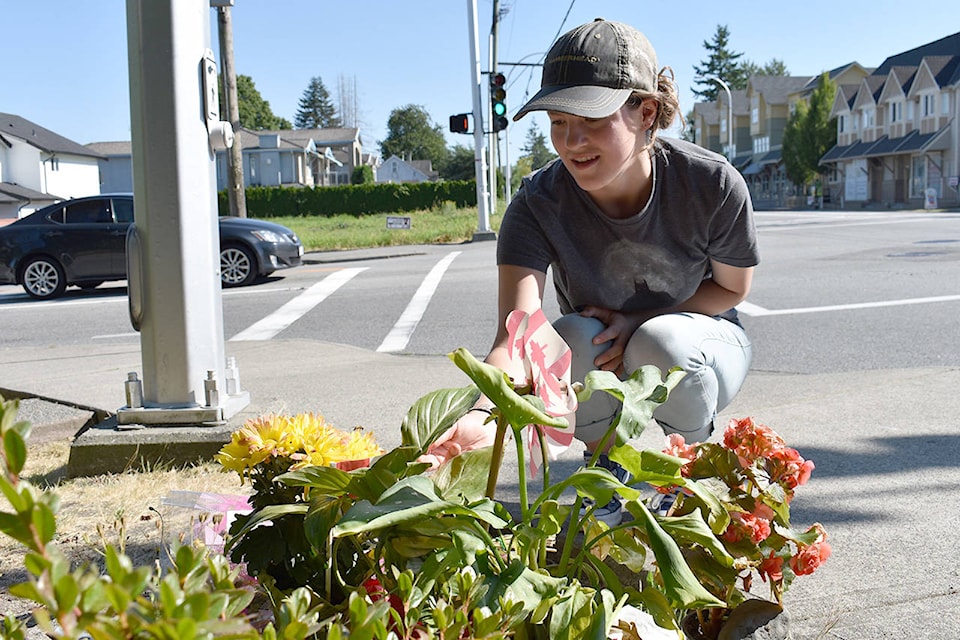 7733132_web1_170719-CLR-SurreyPedestrianFriend_1