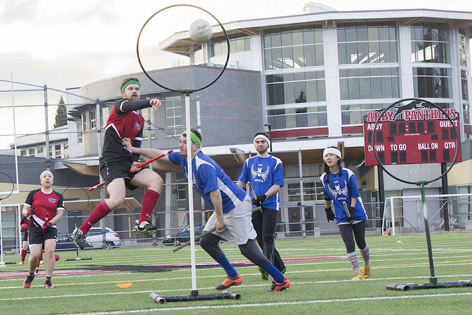 9413029_web1_quidditch