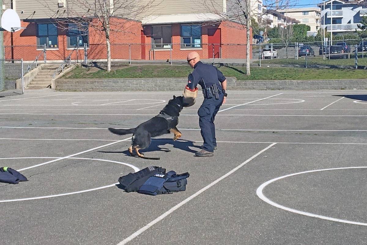 11172663_web1_180326-PAN-M-police-dog-demo-at-WRE2-contributed