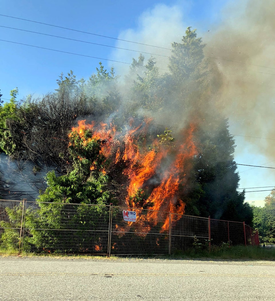 12006974_web1_180523-SUL-SouthSurreyFire2_ne20185237217852