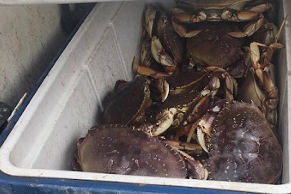 12595608_web1_copy_crabs2