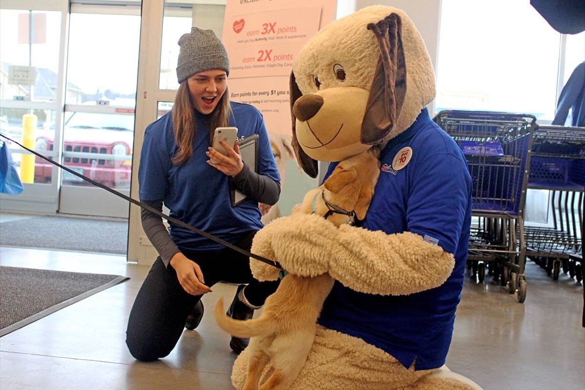 PetSmart opens new Surrey location North Delta Reporter