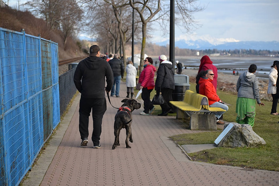 15947594_web1_dog-promenade