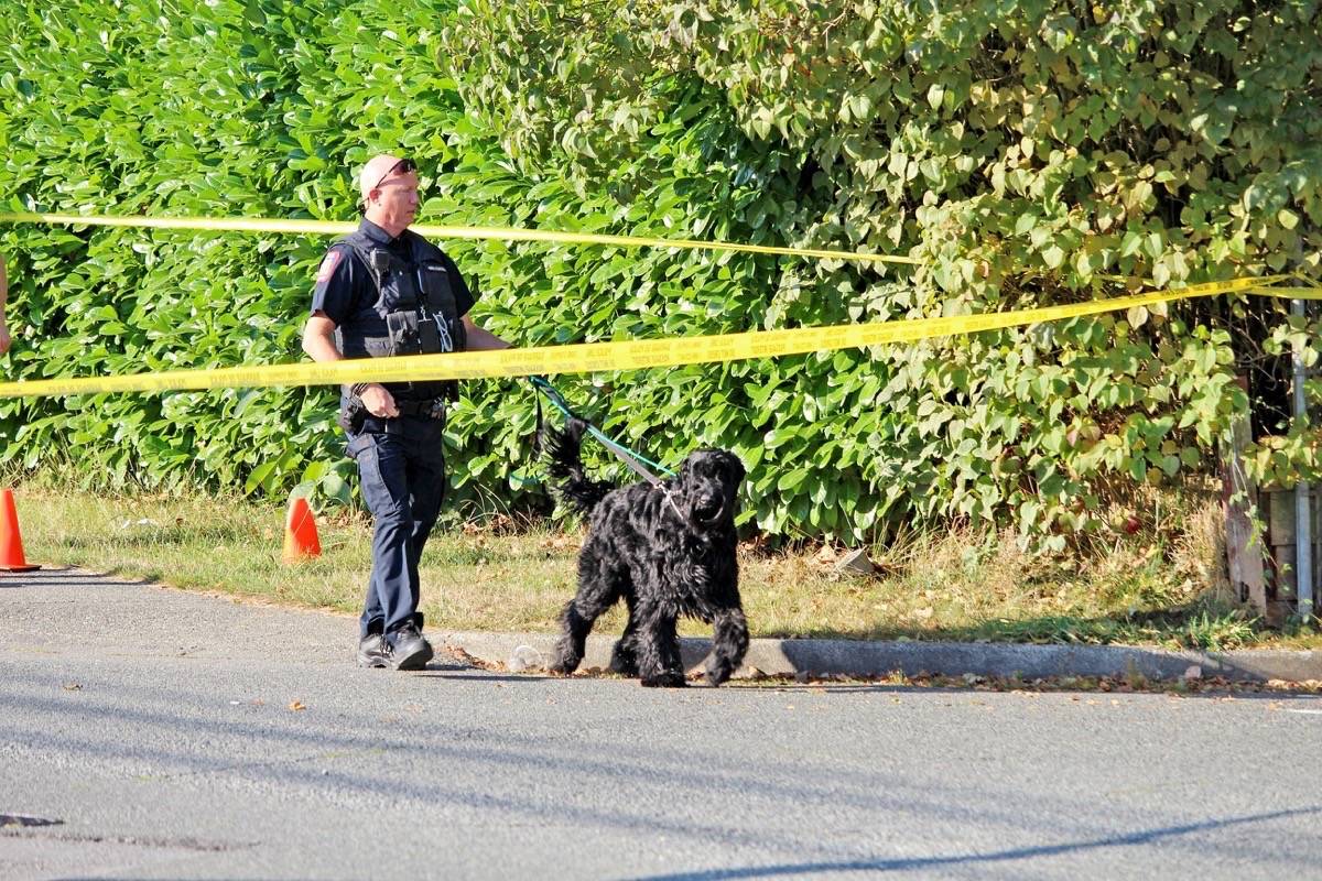 18413985_web1_190906-PAN-M-south-surrey-shooting-dog-removed-th