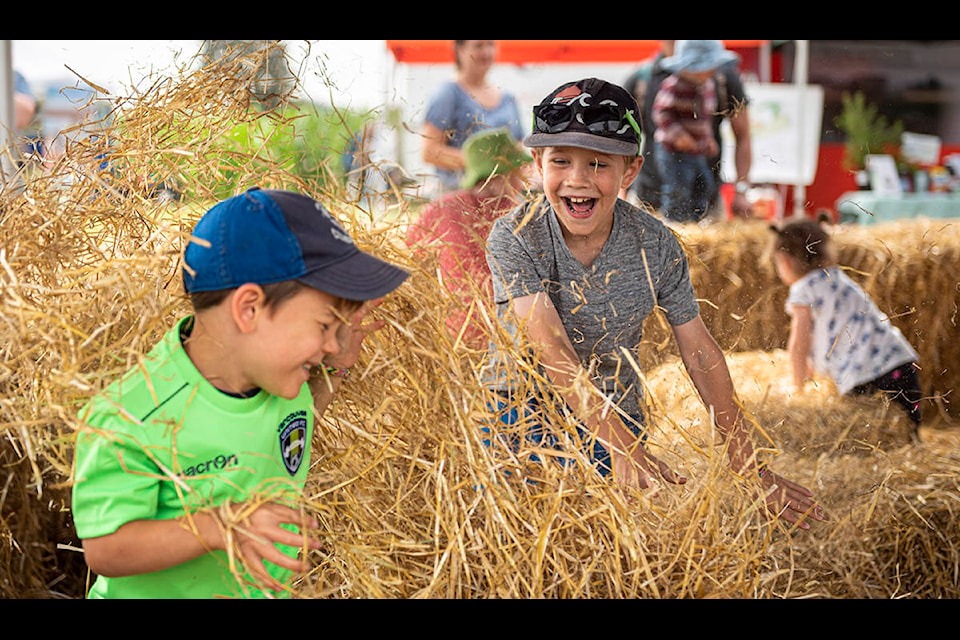 David Haerth (in green) and his brother Daniel toss hay at each other during Day at the Farm at Westham Island Herb Farm in Ladner on Sept. 7, 2019. (Ryan-Alexander McLeod photo)