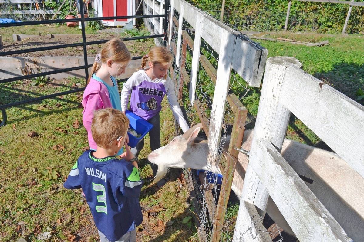 18459375_web1_190910-PAN-M-lemonade-for-the-farm4-th