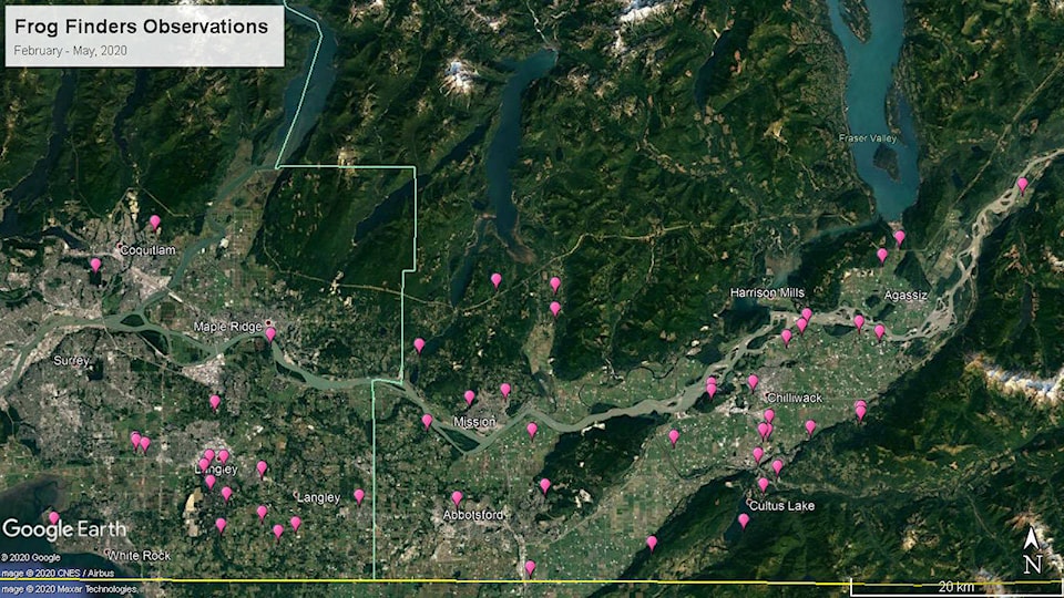 21792837_web1_200604-CPL-FrogMappingBegins-frogs_1