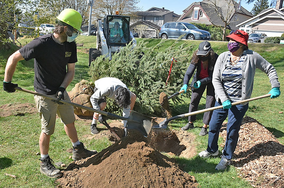 24932376_web1_210421-MRN-NC-treeplanting-pics_2