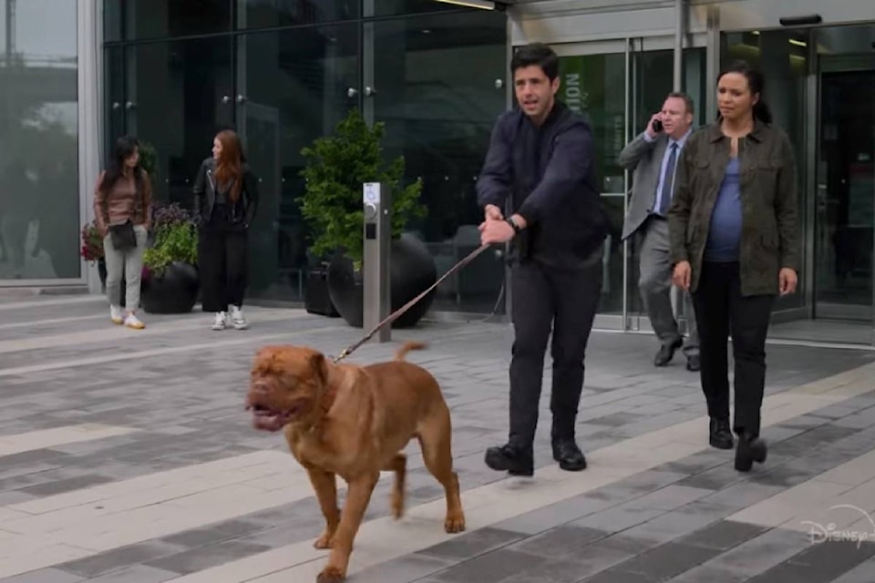 25628798_web1_210701-SUL-Filming-stats-Turner-Hooch_2