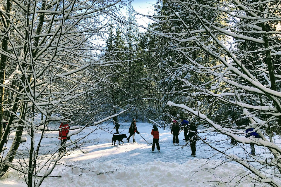 On Dec. 30 at the pond at Crescent Park, ‘so many people were there, with adults engaged in shovelling every little part of the pond that could be skated upon. Kids and dogs were frolicking everywhere.’ (Janet McIntosh photo)