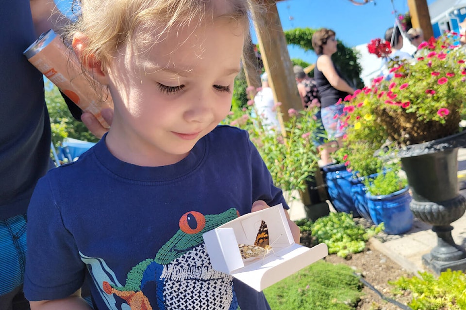 Rowan Hawthorne, 5, released a butterfly at Krause Berry Farms on Saturday, Aug. 6, the first butterfly release fundraiser for the Langley Hospice Society and Langley Lodge since the pandemic. (Dan Ferguson/Langley Advance Times)