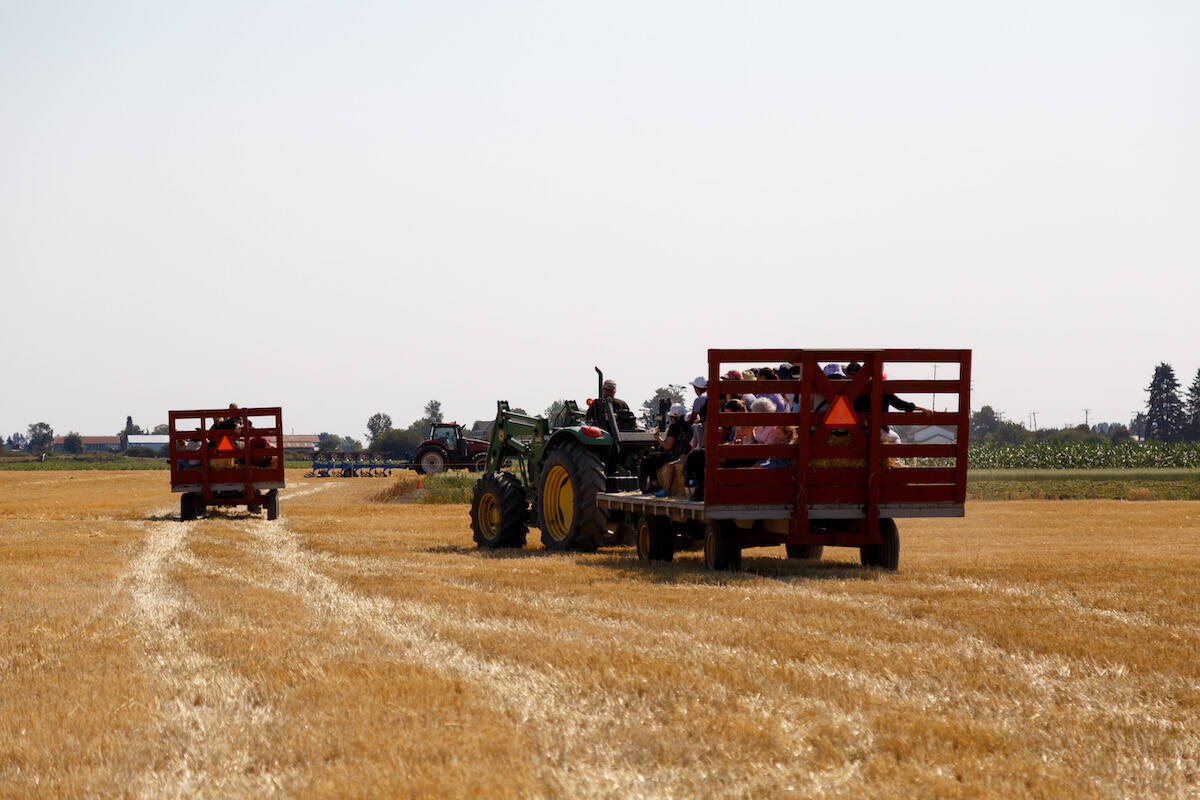 Hay wagon tours at the day at the farm at Westham Island Herb Farm in Delta on Saturday, Sept. 10, 2022. (Photo: Anna Burns)