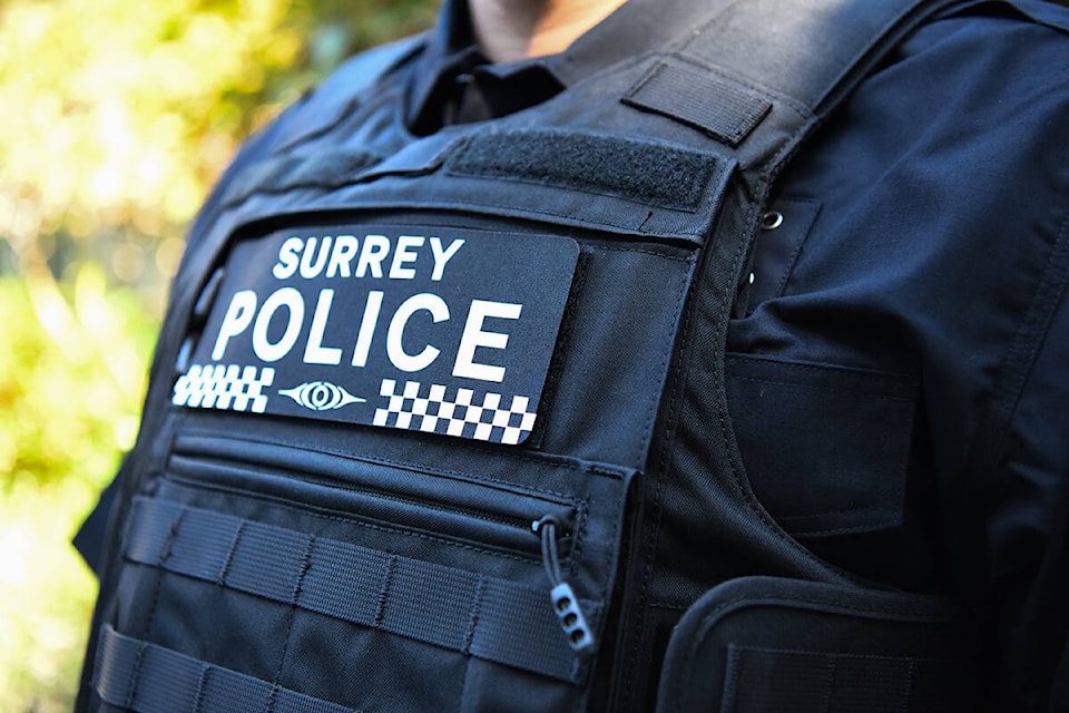 30551854_web1_copy_211101-Impress-CLR-SurreyPoliceBoard-police_1