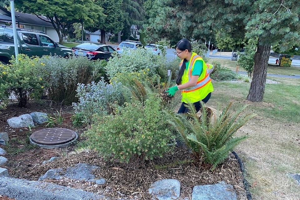 32117380_web1_230314-NDR-M-Tanya-Randhawa-Pinewood-Rain-Garden