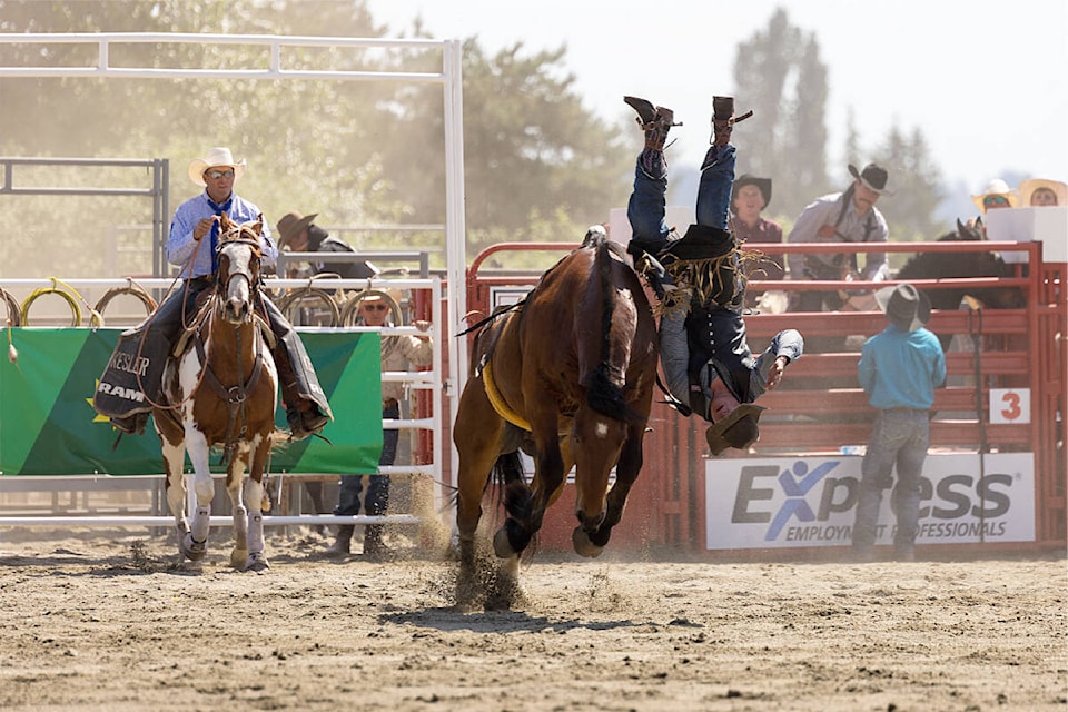 A bareback rider dismounts his horse the hard way at the 2023 Cloverdale Rodeo and Country Fair. (Photo: Jason Sveinson)