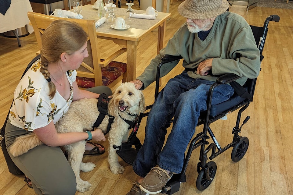 Delta online pet therapy