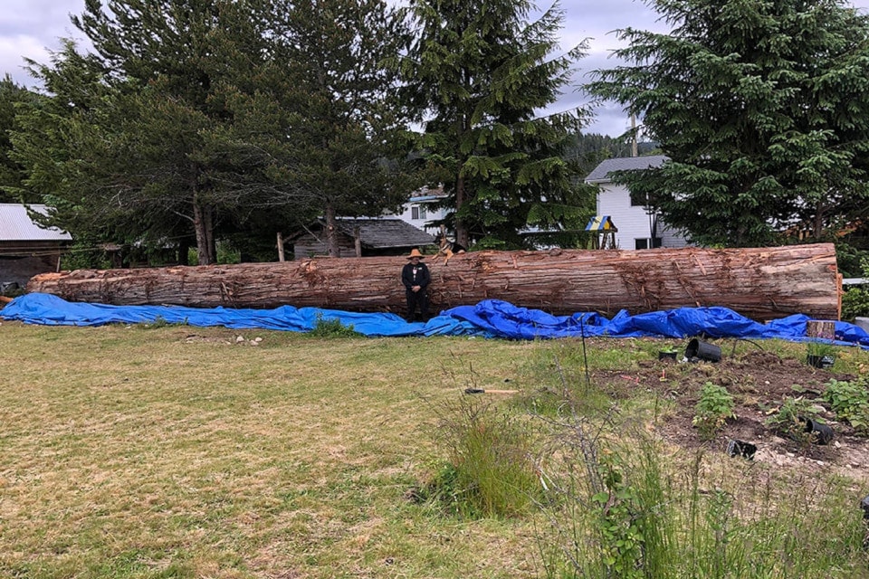 tome-cordeiro-with-his-dog-bones-in-front-of-the-63-foot-cedar-log-hes-going-to-be-carving-into-a-canoe-starting-august-1-2020-clare-rayment