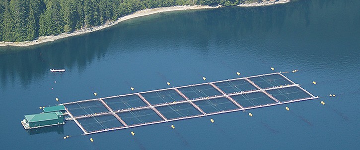 B.C. food product sales set record