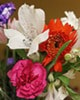 Bouquet_WEB