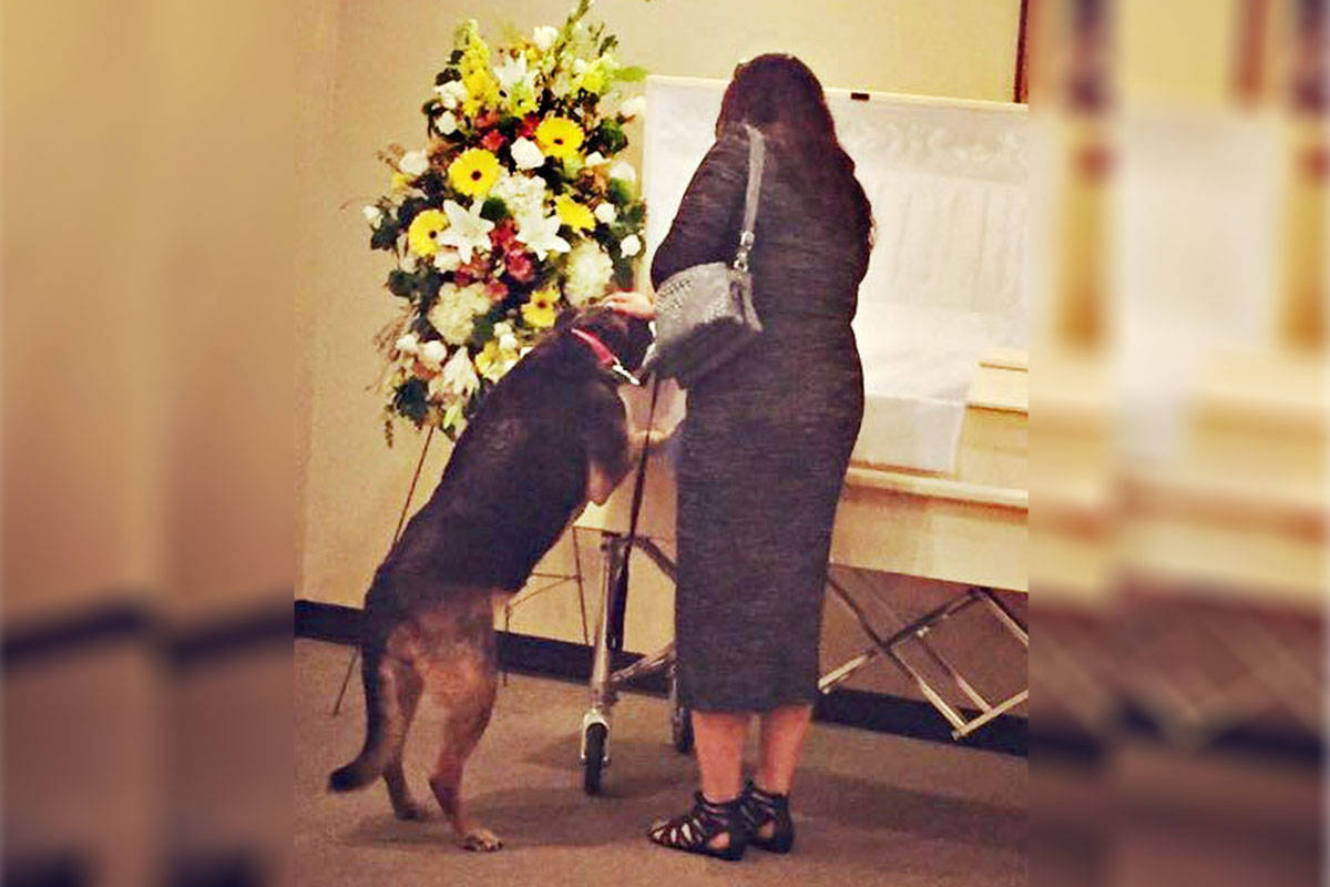 Touching photo of dog at Lower Mainland funeral goes viral