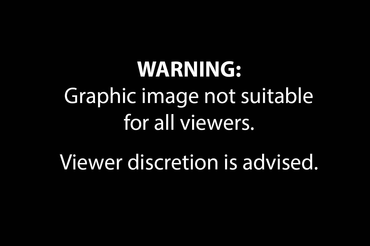 18639494_web1_graphic-warning