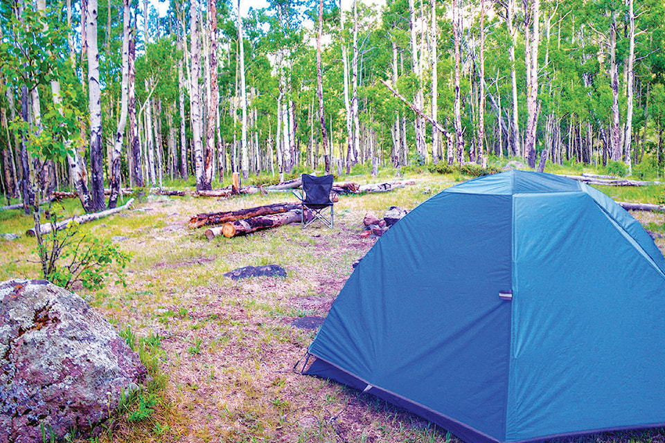 21021515_web1_Camping-Tent-Metro