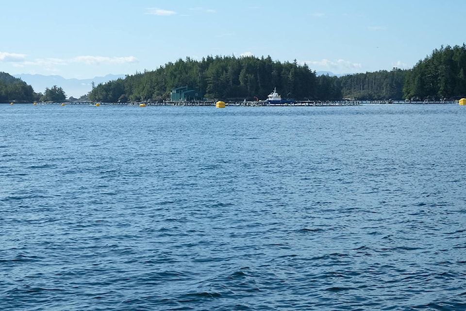 22790750_web1_200930-NIG-heiltsuk-salmon-_1