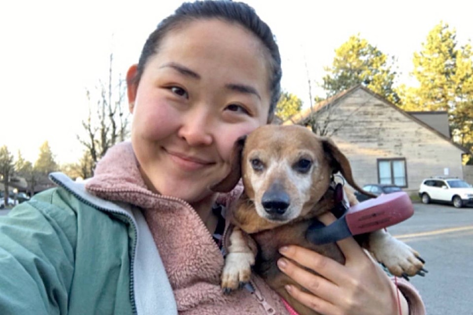 LC (aka Little Cutie) is to receive much-needed dental treatment, following a fundraiser launched by Elgin Park grad Naomi Gantug. (Gofundme.com photo)